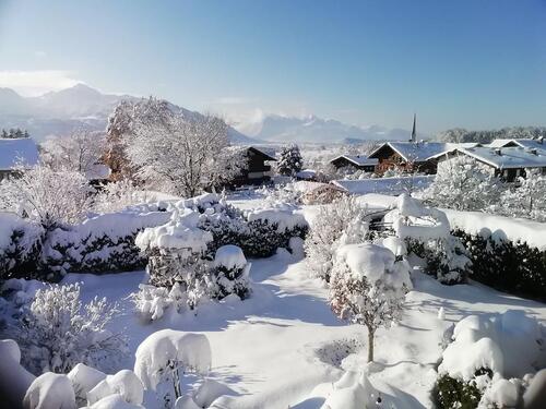 Foto - Hübsche ,helle Einliegerwohnung mit eigenem Garten