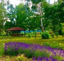 1&2 R-WE Senioren- Wohnen mit DRK-Service, große Grünanlage, ruhige, zentrale Toplage - Eilenburg