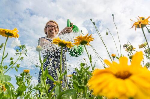 Foto - Grundst&uuml;ck zur Miete in Berlin