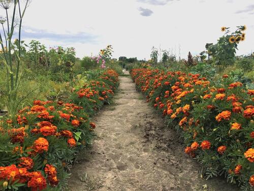 Foto - Grundst&uuml;ck in Berlin
