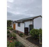 Kleingarten in der KGA 