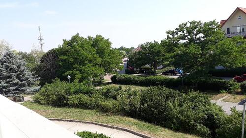 Foto - PKW-Stellplatz im Albert-Schweitzer-Ring für 10 € zu vermieten