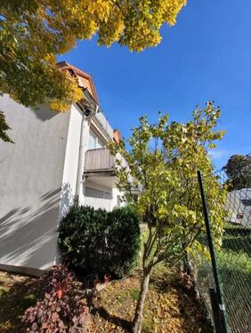 Foto - 2 Zimmer Etagenwohnung zur Miete in Dessau-Roßlau