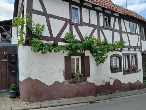 Foto - 1.5 Zimmer Etagenwohnung zur Miete in Grünstadt