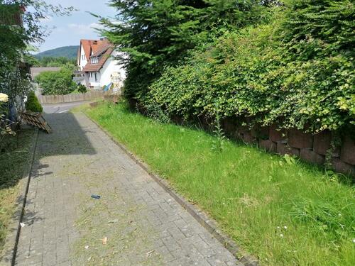 Foto - 