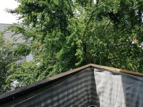 Foto - Etagenwohnung in Bessenbach zum Kaufen