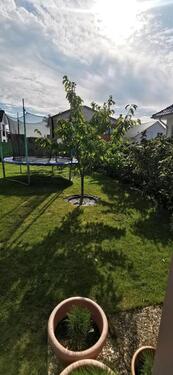 Foto - Einfamilienhaus in Groß Grönau zum Kaufen