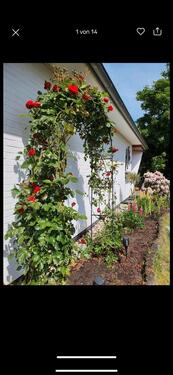 Foto - Einfamilienhaus Burgdamm- Provisonsfrei