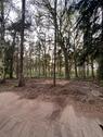 Foto - andere in Wardenburg zur Miete