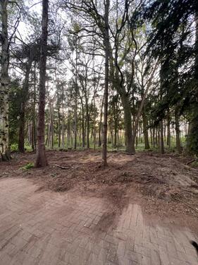 Foto - andere in Wardenburg zur Miete
