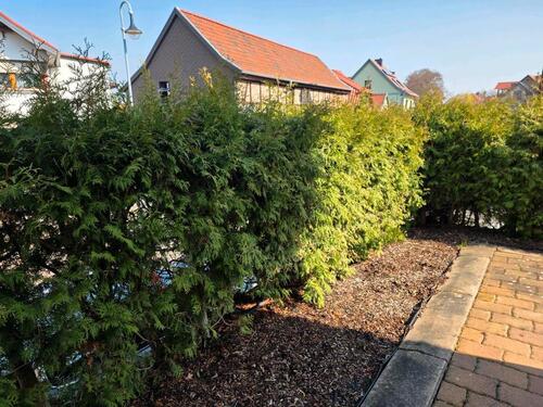 Foto - 4 Zimmer Einfamilienhaus zum Kaufen in Heringen/Helme