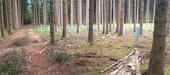 Foto - Grundst&uuml;ck in Rot an der Rot zur Miete