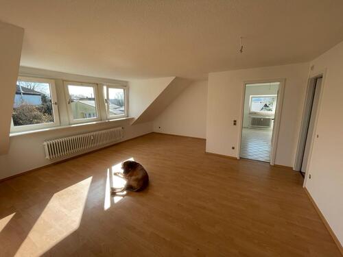 Foto - 2,5 Zimmer Wohnung zu vermieten.