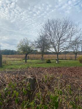 Foto - Einfamilienhaus zum Kaufen in Blankensee