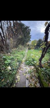 Foto - Einfamilienhaus in Ludwigshafen am Rhein zum Kaufen
