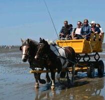 CUXHAVEN DUHNEN - FERIENWOHNUNG - ab 26.4. frei ! - STRANDNAH - Bruchhausen-Vilsen