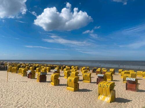 Foto - andere zur Miete in Bruchhausen-Vilsen