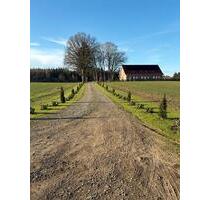 3 Wohnungen im Außenbereich ( 2 x 115 m2, 1 x 106 m2 ) - Neuenkirchen