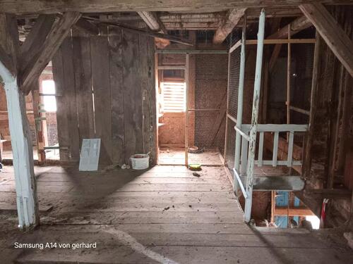 Foto - Bauernhaus, Landhaus in Berga/Elster zum Kaufen