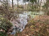 Foto - Garten mit Hütte & Teichen in Brachttal-2800m² zur Miete