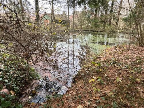 Foto - Garten mit Hütte & Teichen in Brachttal-2800m² zur Miete