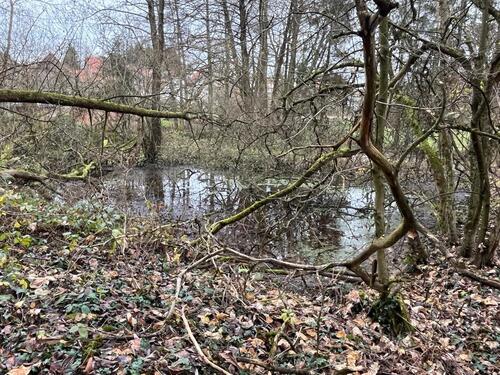 Foto - Grundstück zur Miete in Brachttal