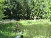 Foto - Freizeitgrundstück Garten Grundstück