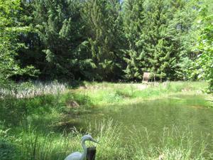 Foto - Freizeitgrundstück Garten Grundstück