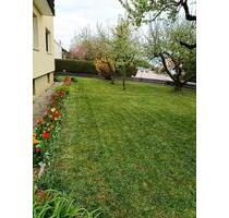 helle 4 Zimmer Wohnung - 800,00&nbsp;EUR Kaltmiete, ca.&nbsp; 110,00&nbsp;m&sup2; in Marktoffingen (PLZ: 86748)
