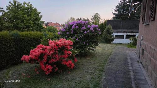 Foto - 