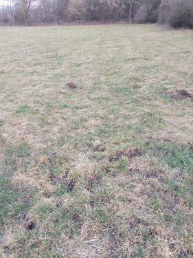 Foto - Wiese Weide mit Unterstand - 250,00&nbsp;EUR Kaltmiete, ca.&nbsp; 0,00&nbsp;m&sup2;