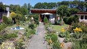 Foto - Bungalow in ruhigem Kleingartenverein bei Prohn (Nähe Stralsund)
