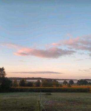 Foto - Resthof mit vielen Möglichkeiten