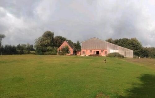 Foto - Bauernhaus, Landhaus in Wester-Ohrstedt zum Kaufen
