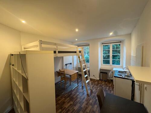 Foto - 1-Zimmer-Wohnung in Heidelberg-Altstadt mit Schlossblick – Nachmi