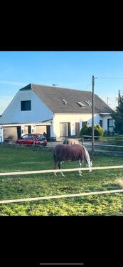 Foto - Ruhige Haushälfte im Grünen – ideal für Familie oder Berufstätige