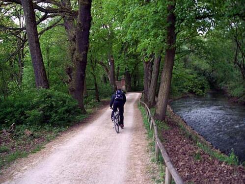 Foto - 2 Zimmer Etagenwohnung zur Miete in Nürnberg