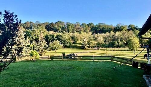 Foto - 12 Zimmer Mehrfamilienhaus, Wohnhaus zum Kaufen in Sömmerda