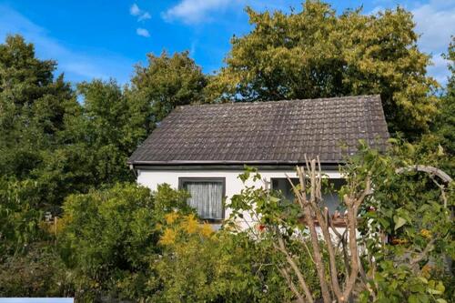 Foto - Kleingarten, Schrebergarten, Pachtgart