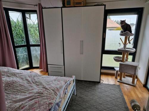Foto - 2 Zimmer Etagenwohnung zur Miete in Hermeskeil