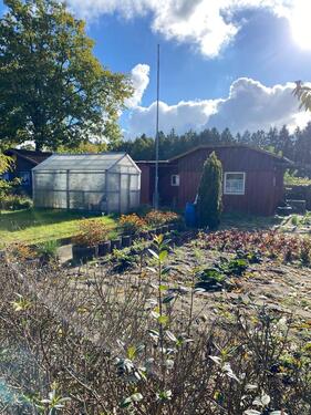 Foto - Kleingarten Nähe Bad Segeberg in ruhiger Lage abzugeben