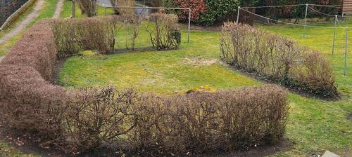 Foto - 3 Zimmer Wohnung zu Vermieten - 520,00&nbsp;EUR Kaltmiete, ca.&nbsp; 72,00&nbsp;m&sup2;