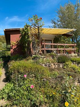 Foto - Kleingarten Pachtgarten Schrebergarten nahe Jena