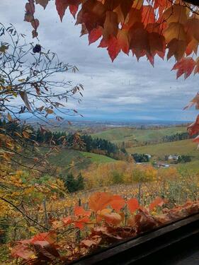 Foto - WOHNUNG ILLENTAL NESSELRIED!!!!! LESE BIS ZUM ENDE !!!!!!
