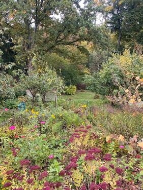 Foto - Einfamilienhaus in Solingen zum Kaufen