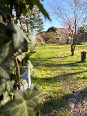 Foto - Zur Miete: Einfamilienhaus freistehend 116qm mit großem Garten