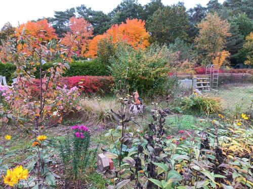 Foto - Grundstück in Schwerin zur Miete