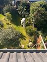 Foto - Einfamilienhaus zum Kaufen in Hamburg