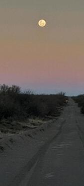 Foto - andere zur Miete in Herne