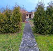 Kleingarten in Artern abzugeben - Bad Frankenhausen/Kyffhäuser